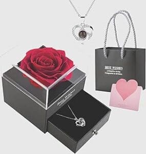 Express Your Love in 100 Languages with LEXSO Preserved Rose & Heart Necklace – Ideal Gift for Her!