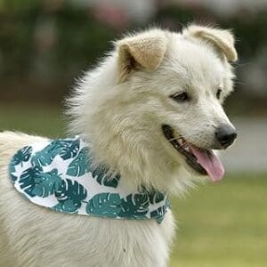 Leaf Print Dog Bandana: A Stylish Gift for Your Pup!