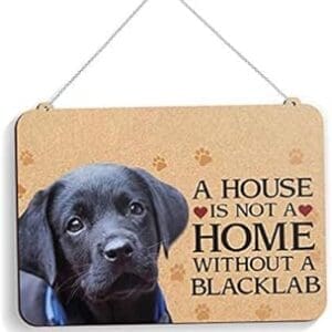 Image courtesy amazon.in