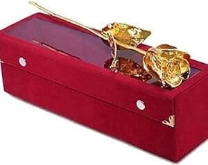 Image courtesy amazon.in