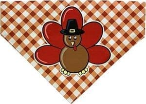 Turkey Bandana: Festive Thanksgiving Gift for Medium to Large Dogs