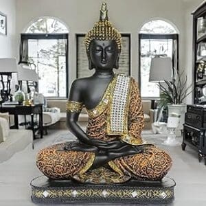 Image courtesy amazon.in