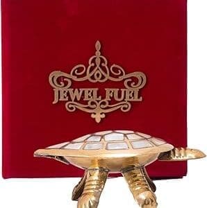 Unlock Prosperity: JEWEL FUEL Fengshui Tortoise Gift Set