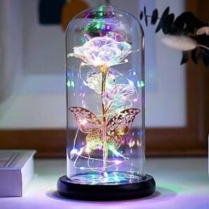 Eternal Love: ORORANY Forever Rose & Galaxy Glass Flower Gift Set with LED Light