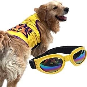 Dress Your Pup in Style: Lulala Pets Dog Clothes Combo Set