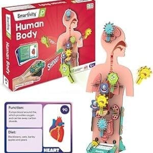 Unleash the Scientist Within: Smartivity Human Body Toy for Kids 6-12 | STEM Educational DIY Game