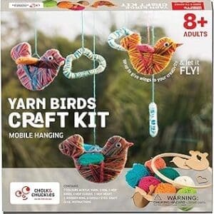 DIY Bird Hanging Kit: Fun Art & Craft Gift for Kids 8-14 – Ideal for Boys and Girls 9-13 Years Old