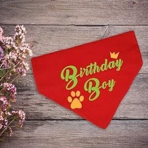 Adorable Birthday Boy Dog Bandana – The Perfect Gift for Pawsome Pups!