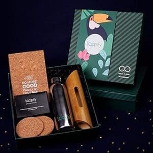 Zero Plastic Corporate Gift Set: Loopify Work Essentials Hamper with Bamboo Docking Station, Steel Bottle, Cork Diary & More!