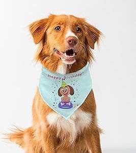 Custom Dog Bandana: A Tail-Wagging Birthday Surprise for Your Furry Friend!